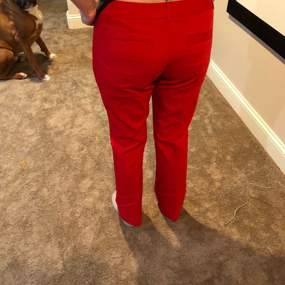 Express Dress Pants - New - Barely Boot Cut - Picture 4 of 4